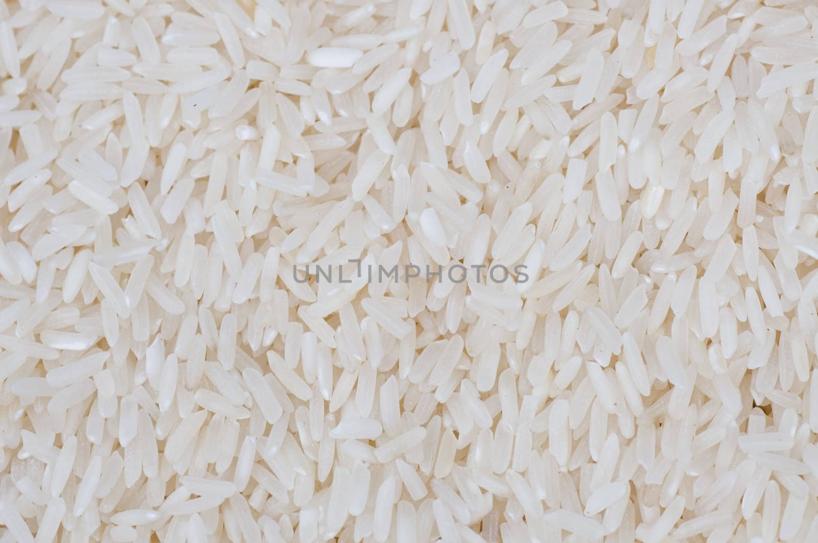 milled rice background