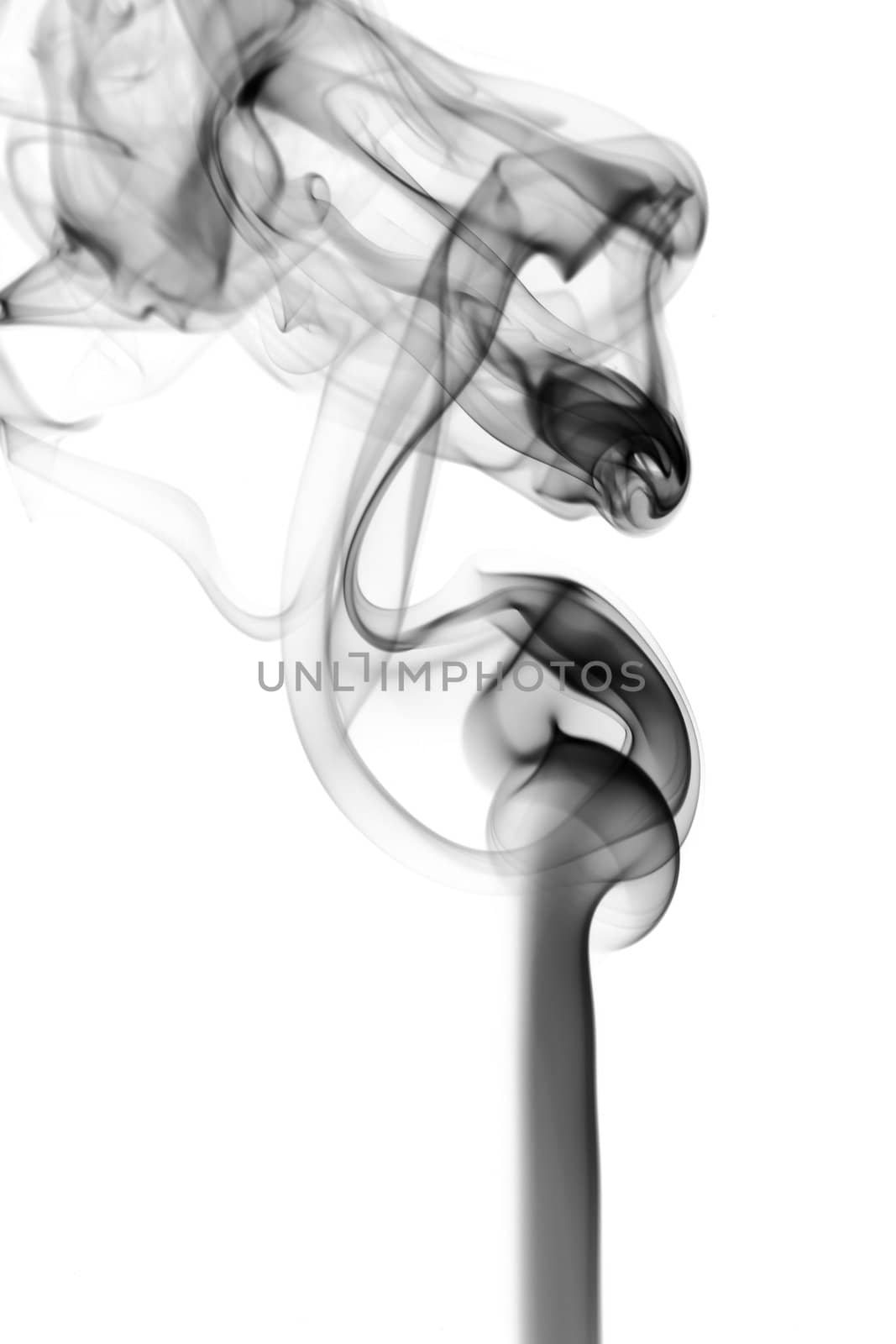 Abstraction. fume pattern over the white background