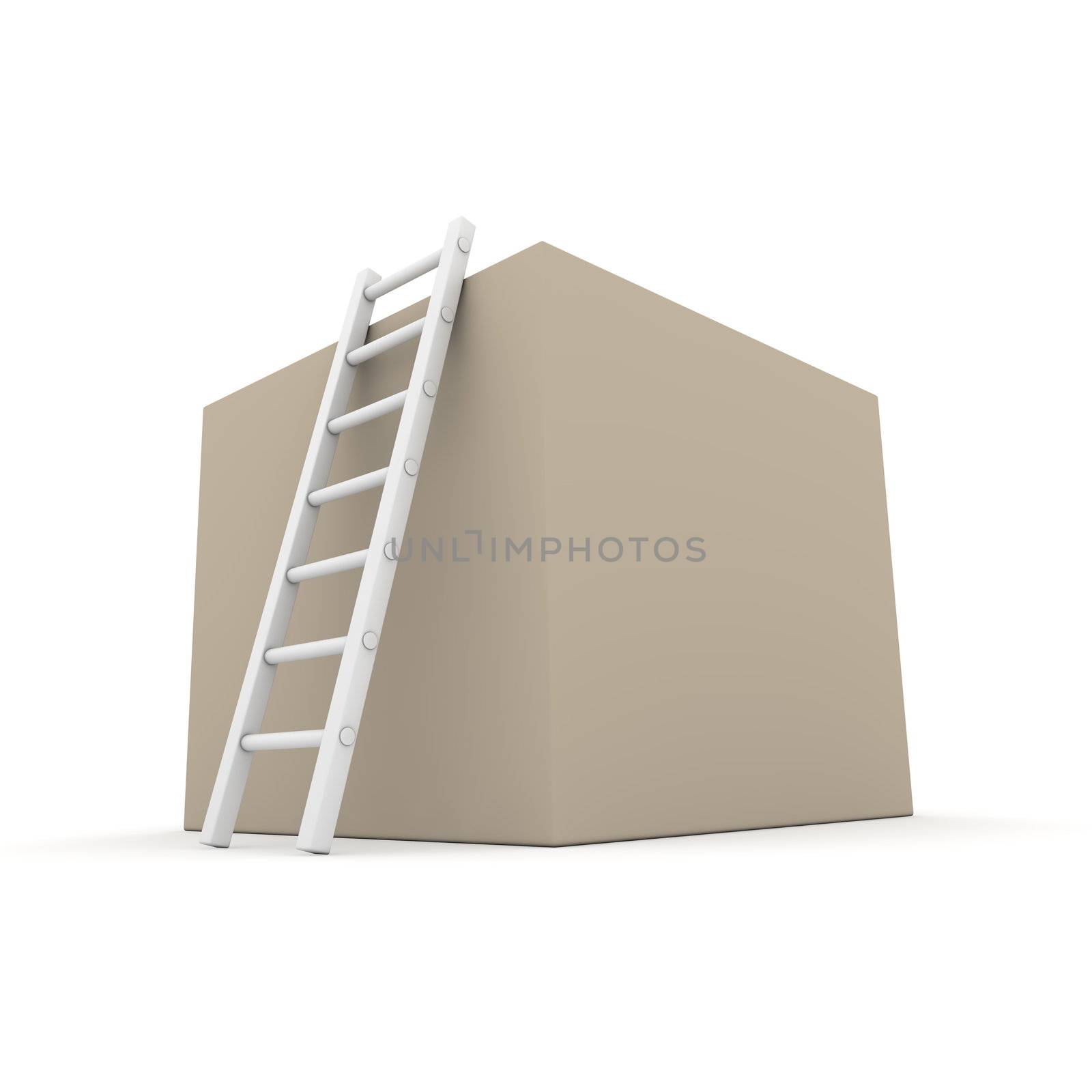 brownish-grey cardboard box with a white ladder to climb to the top