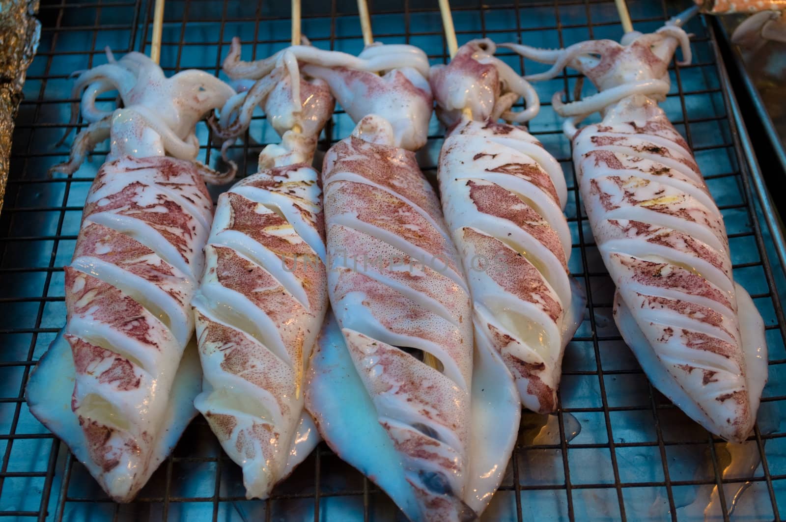 the squid roasts