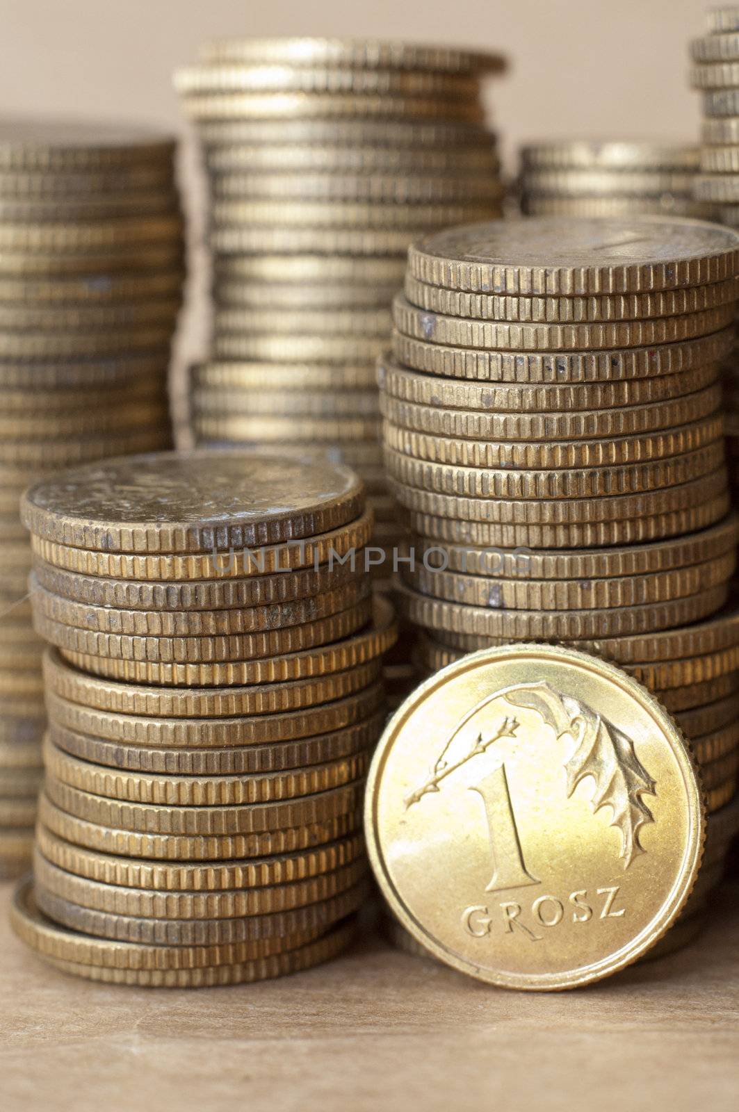 an image of coins of polish currency zloty