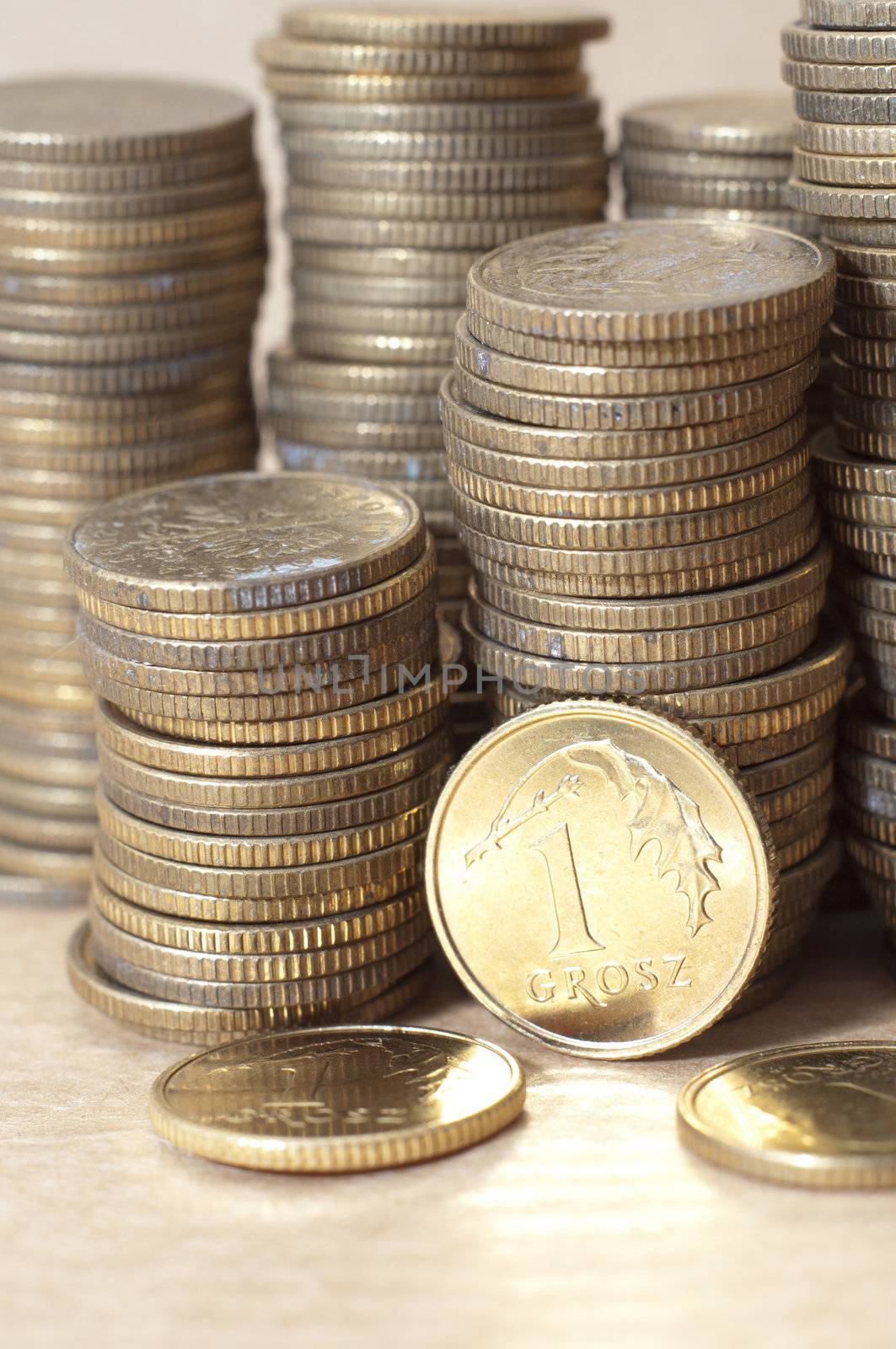 an image of coins of polish currency zloty