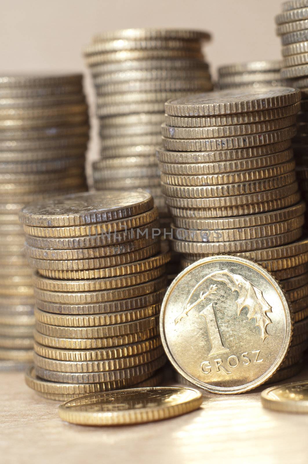 an image of coins of polish currency zloty