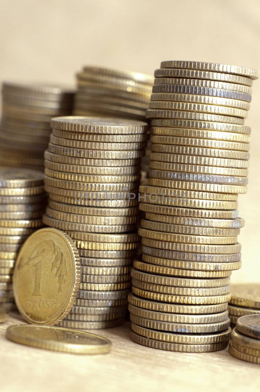 an image of coins of polish currency zloty