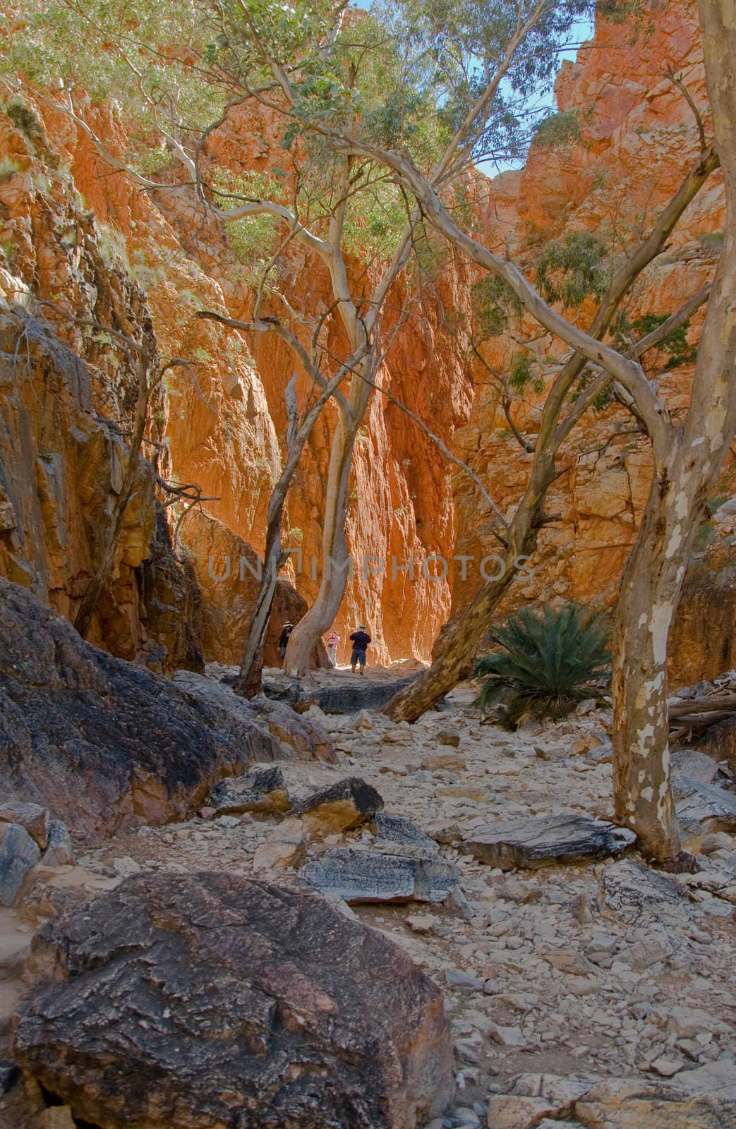stanley chasm next to alice springs in the australian outabck