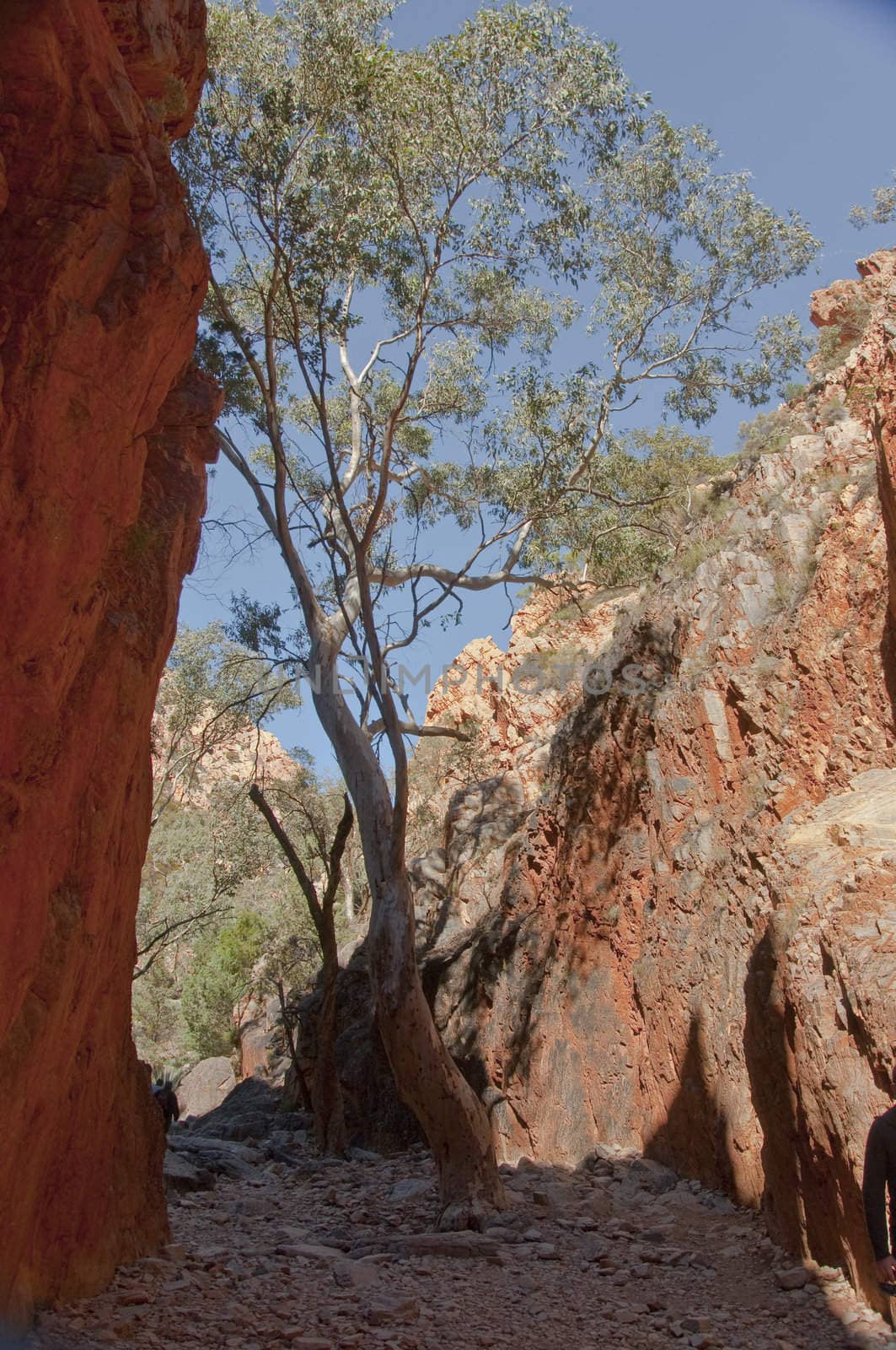 stanley chasm next to alice springs in the australian outabck