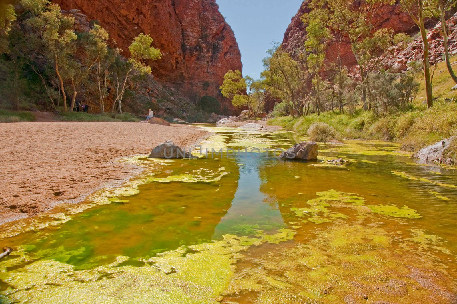 desert pond in the red center desert, northern territory australia