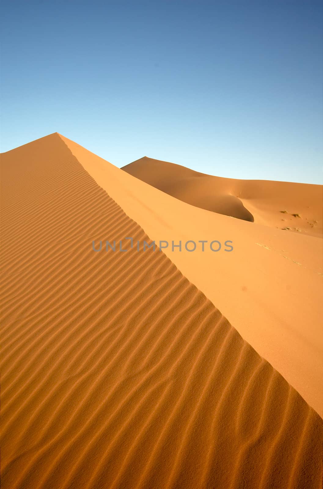 Saharan desert at Erg Chebbi, Morocco