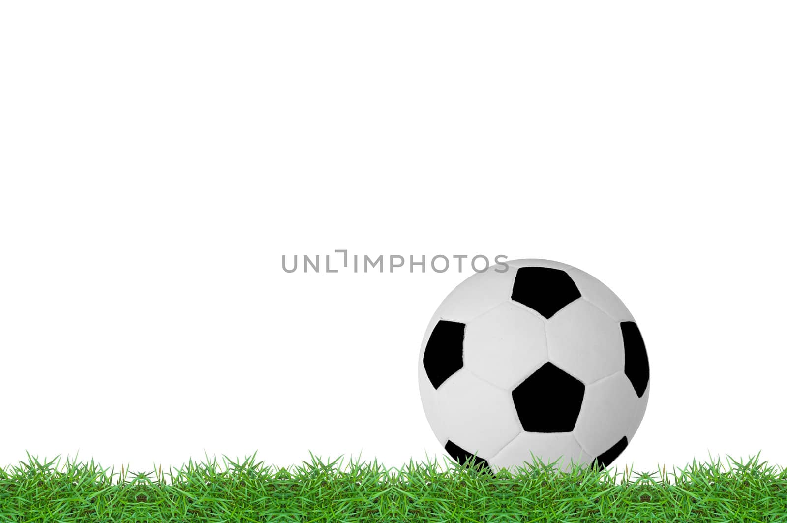 isolated football on green grass