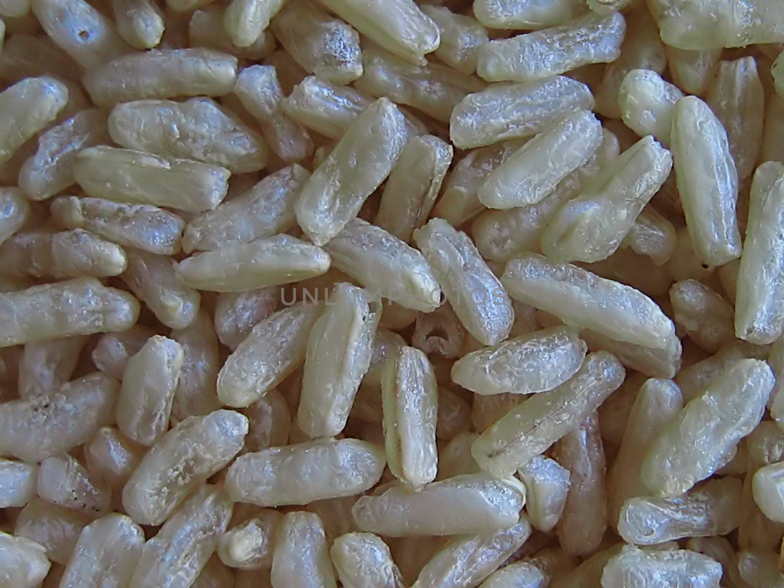 A photograph of uncooked brown rice detailing its texture.
