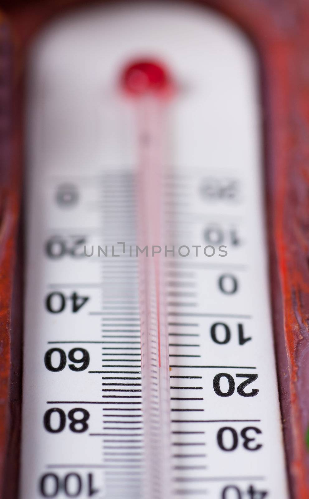 Macro view of mercurial thermometer scale