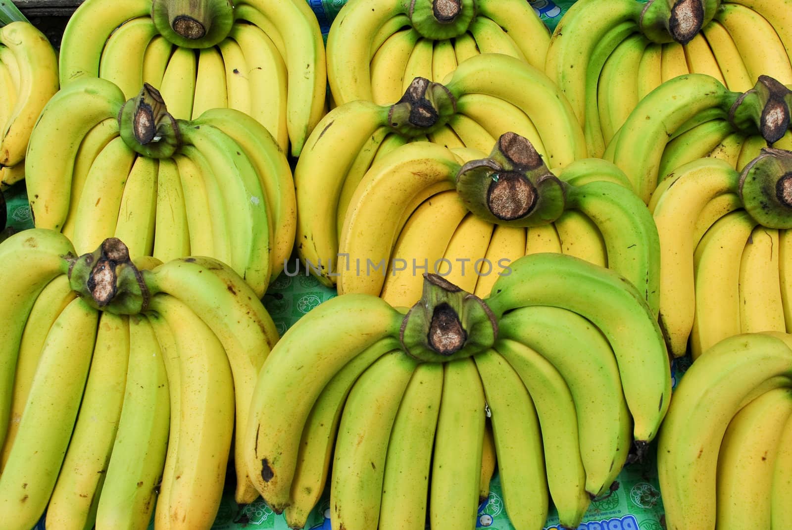 grpup of banana