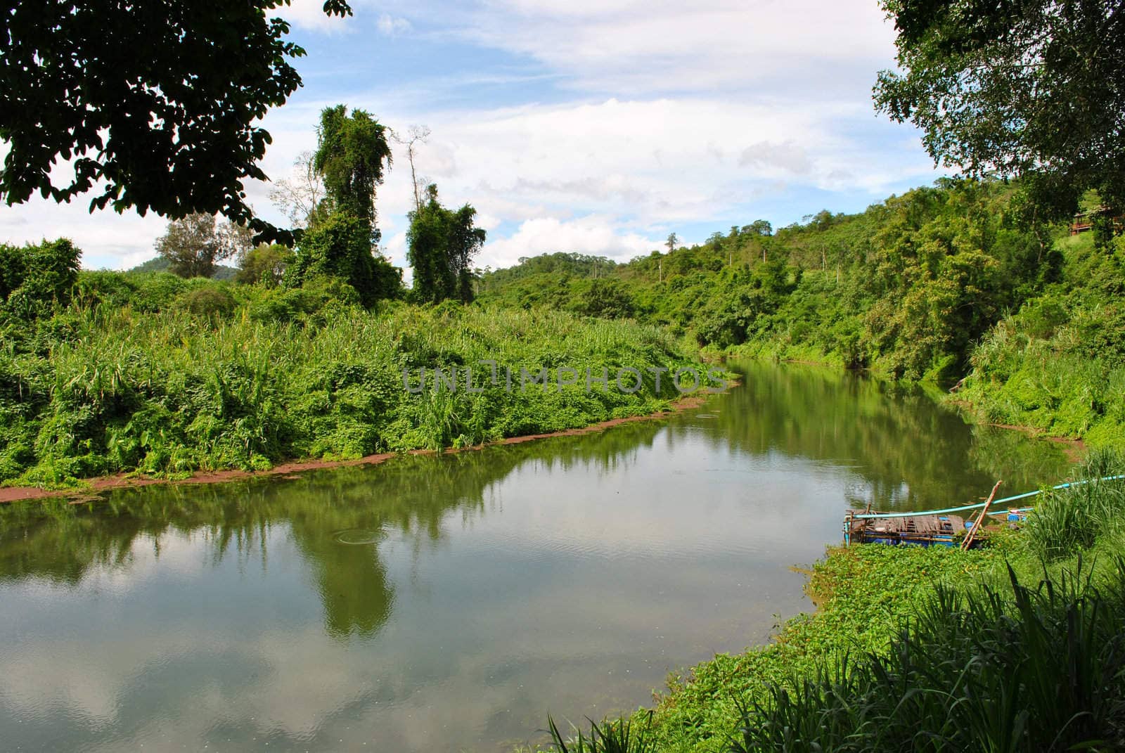river in the forest,Hua Hin Thailand