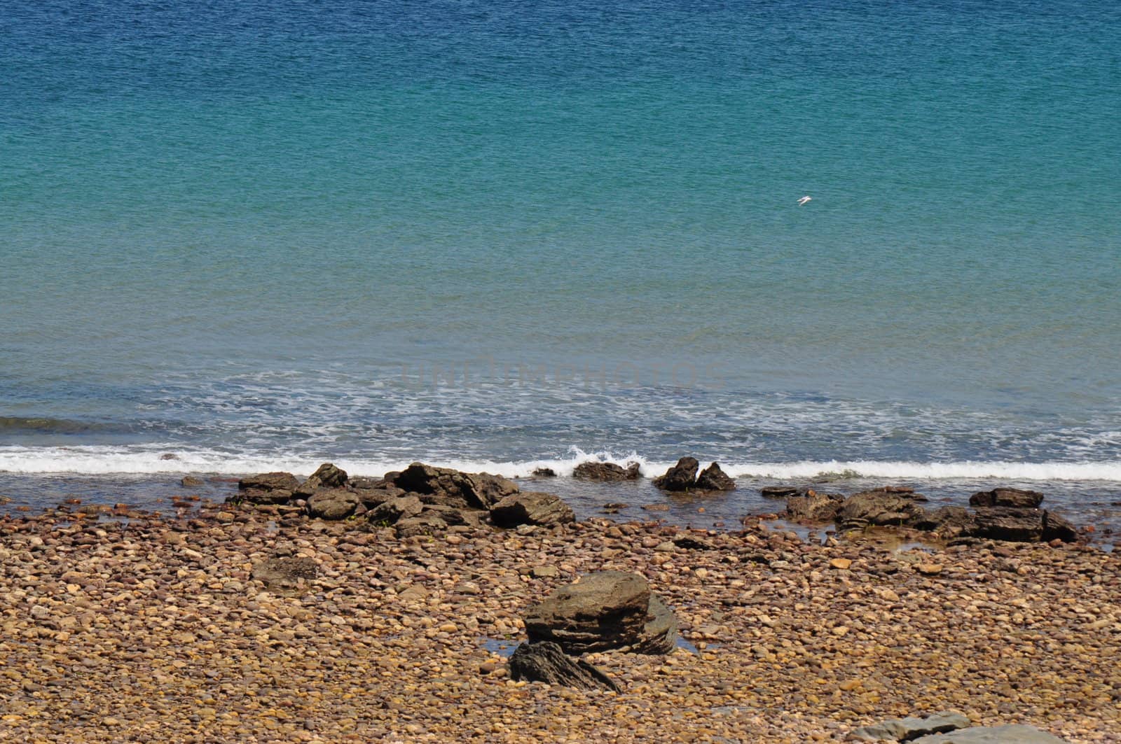 Beautiful Australian Shore. Hallett Cove, Adelaide.