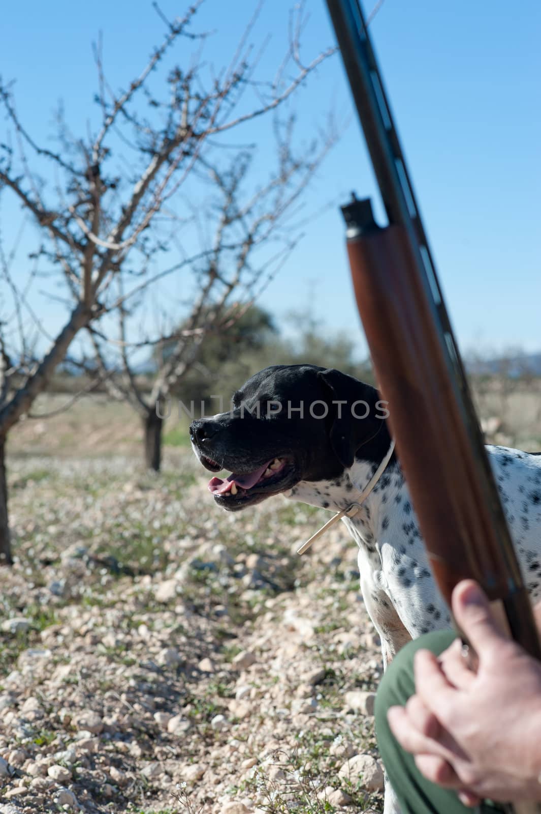 A hunter and his dog, a strong parntership