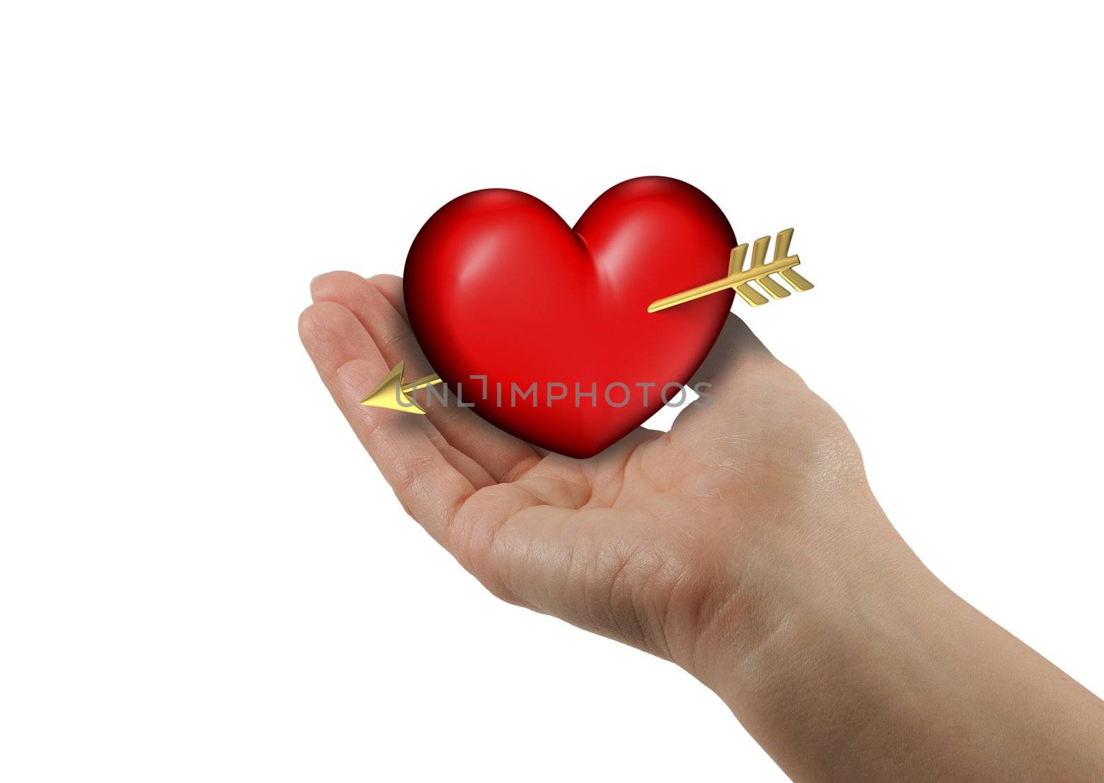 Right woman hand with red and chubby heart on a white background