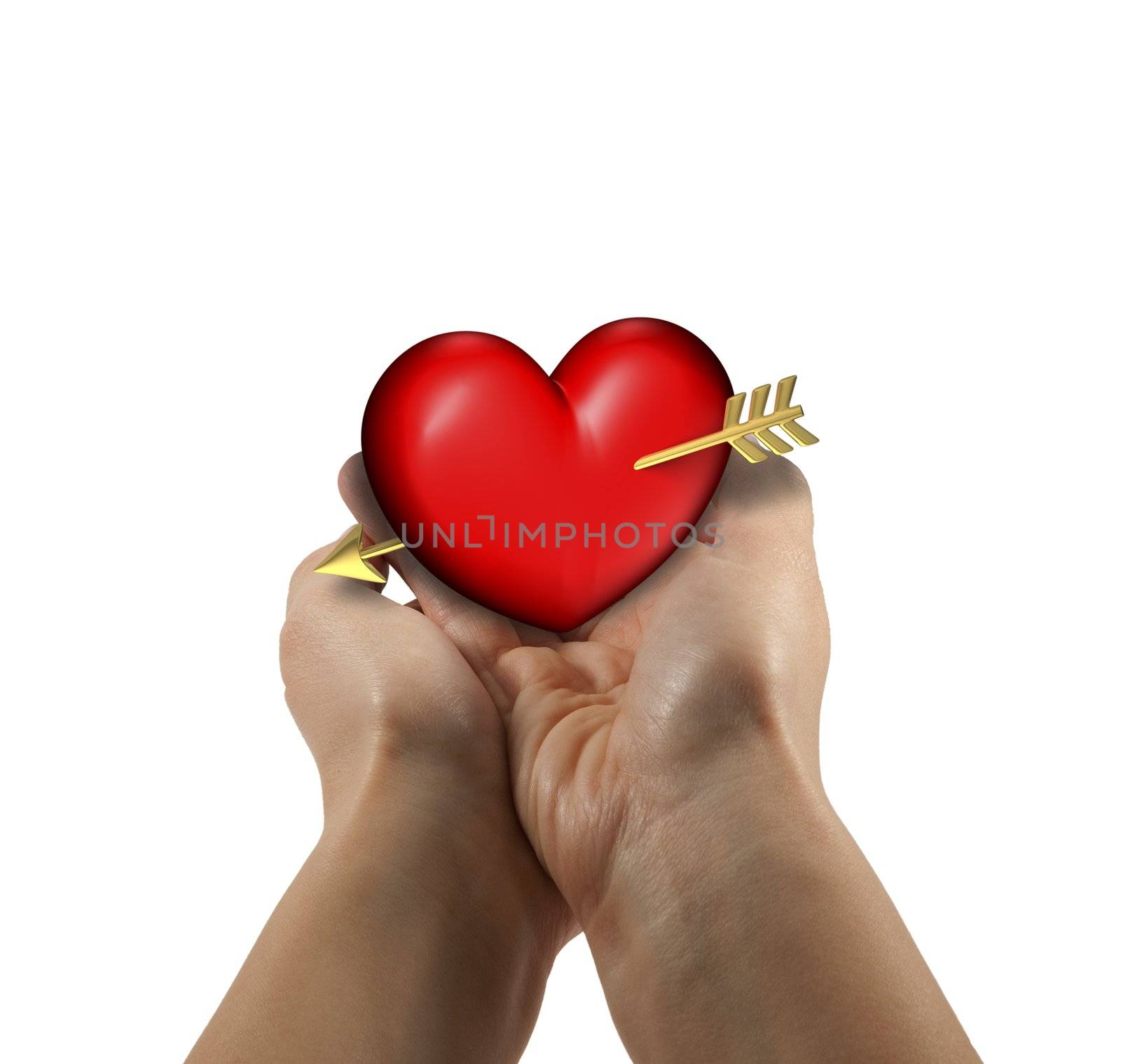 Two woman hands with red and chubby heart on a white background