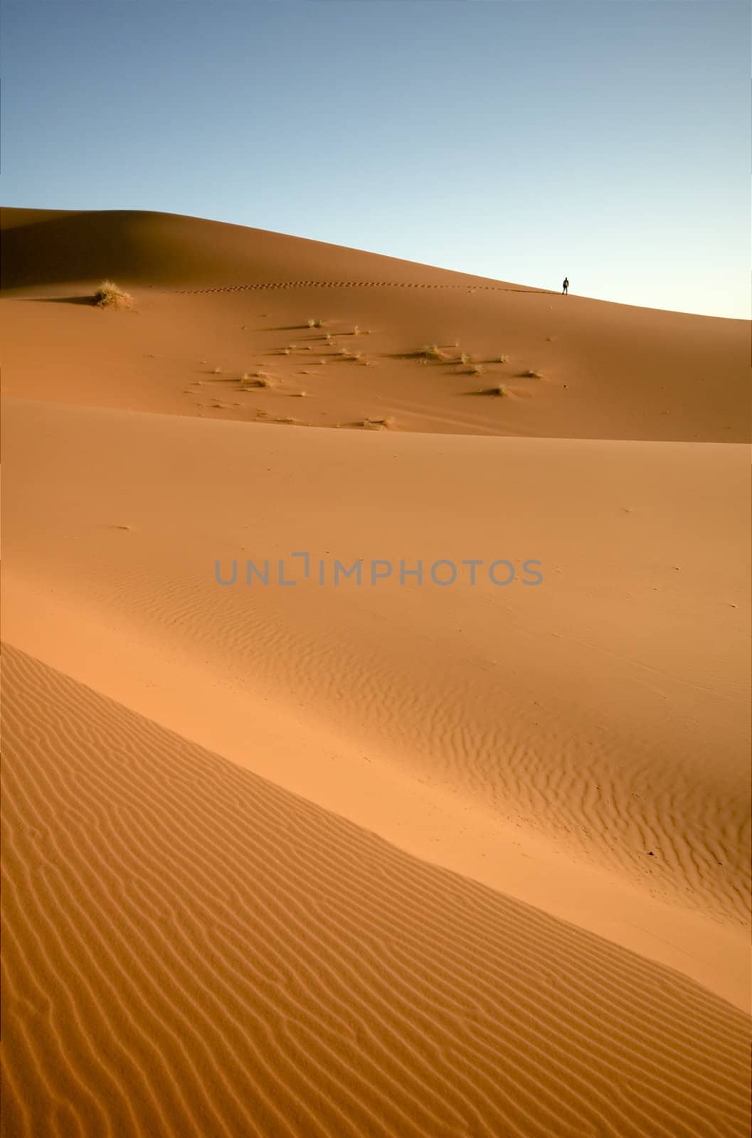 Alone in the desert by t3mujin