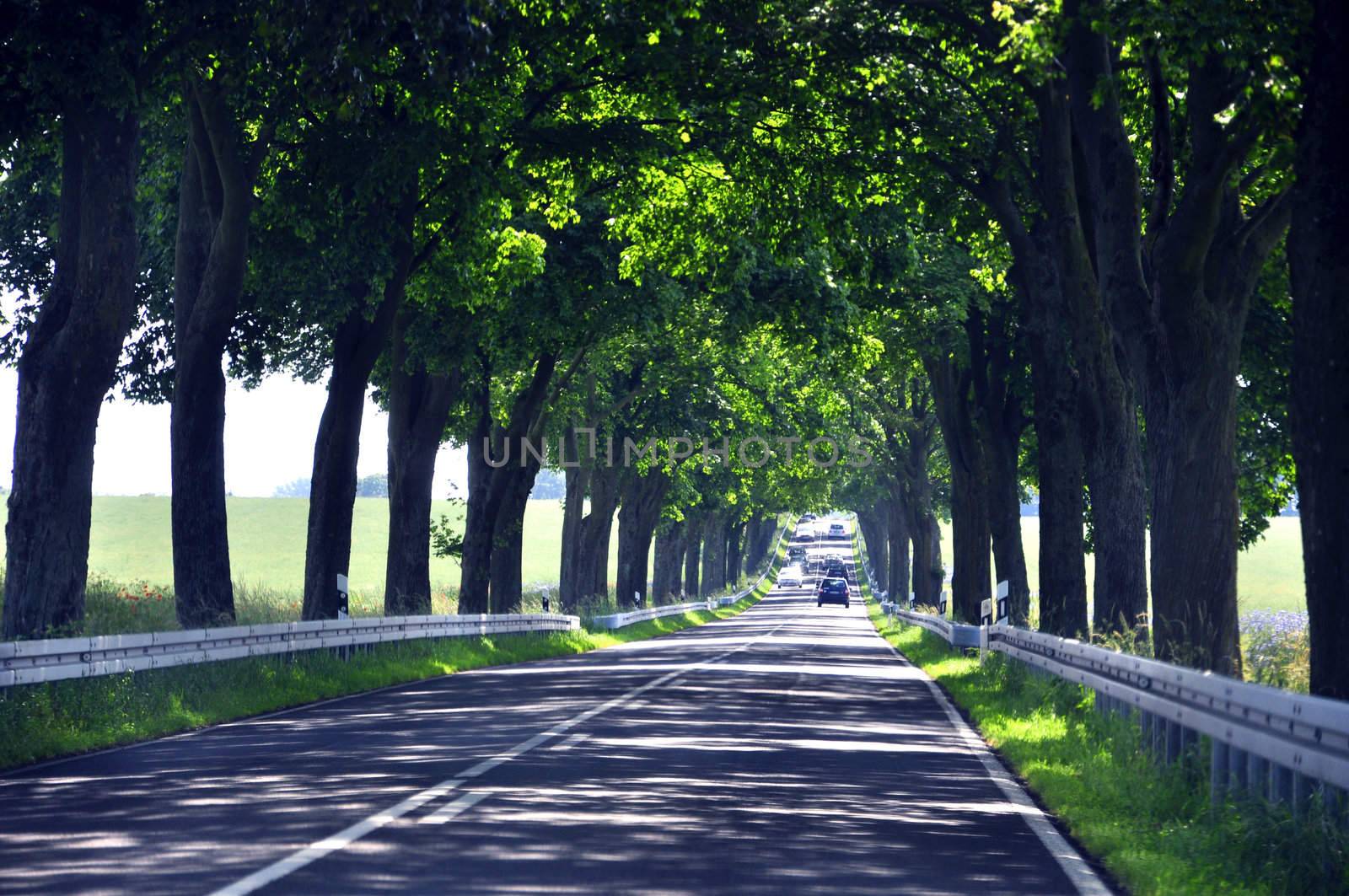 an image of highway