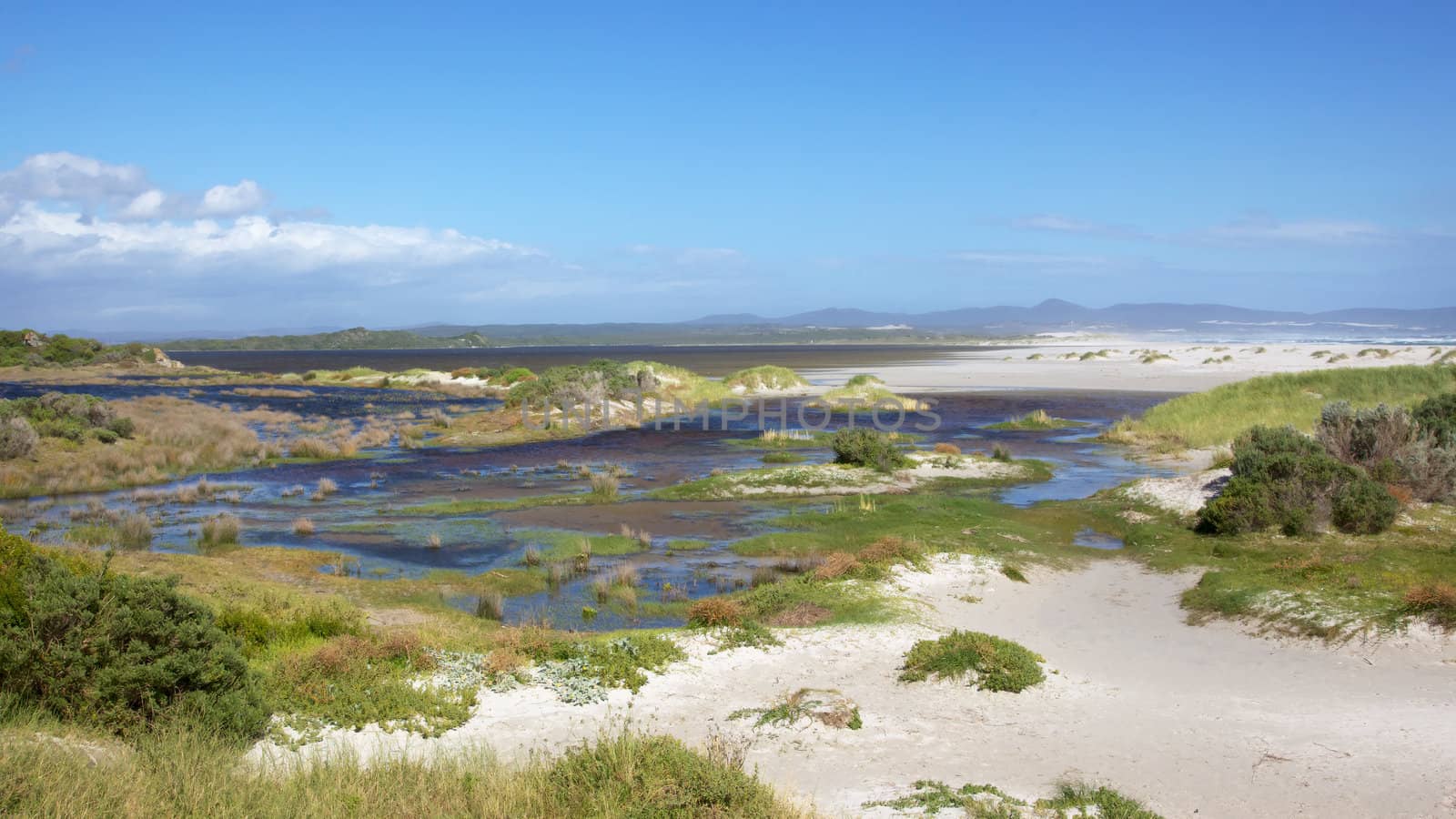 Hermanus by zambezi