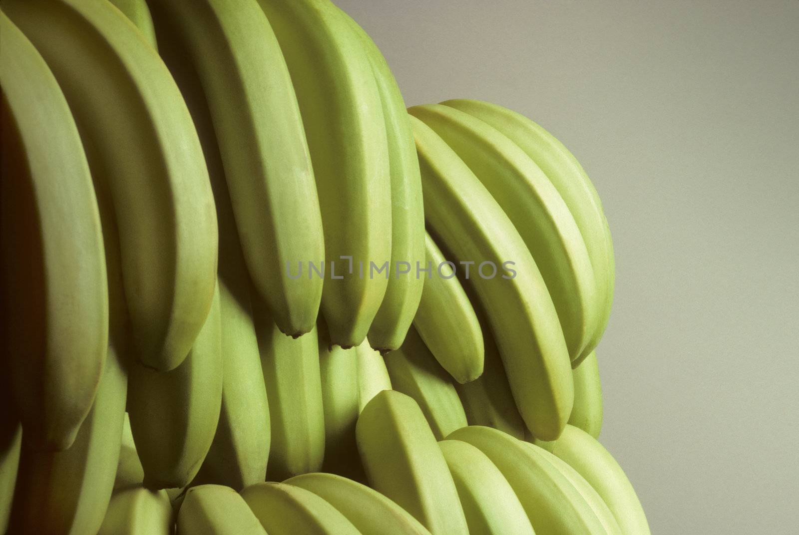 Bunches of green unripe bananas against a gray background