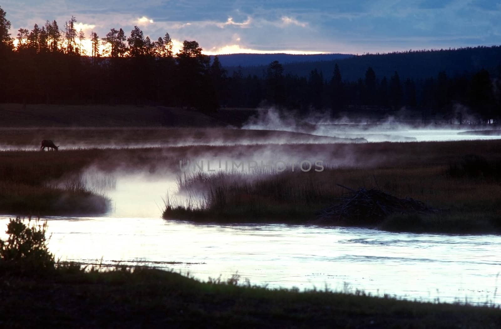 Madison River, Wyoming