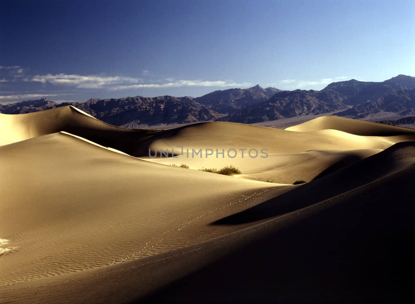 Sand Dunes, Death Valley, California by jol66