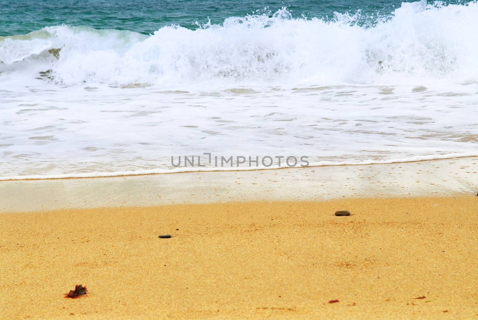 Ocean wave advancing on a sandy beach