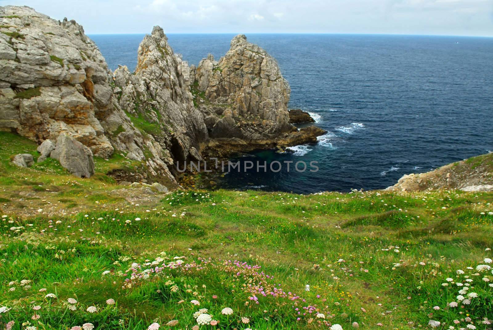 Scenic view from Pointe de Penhir on Atlantic coast in Brittany, France. Focus on foreground flowers.