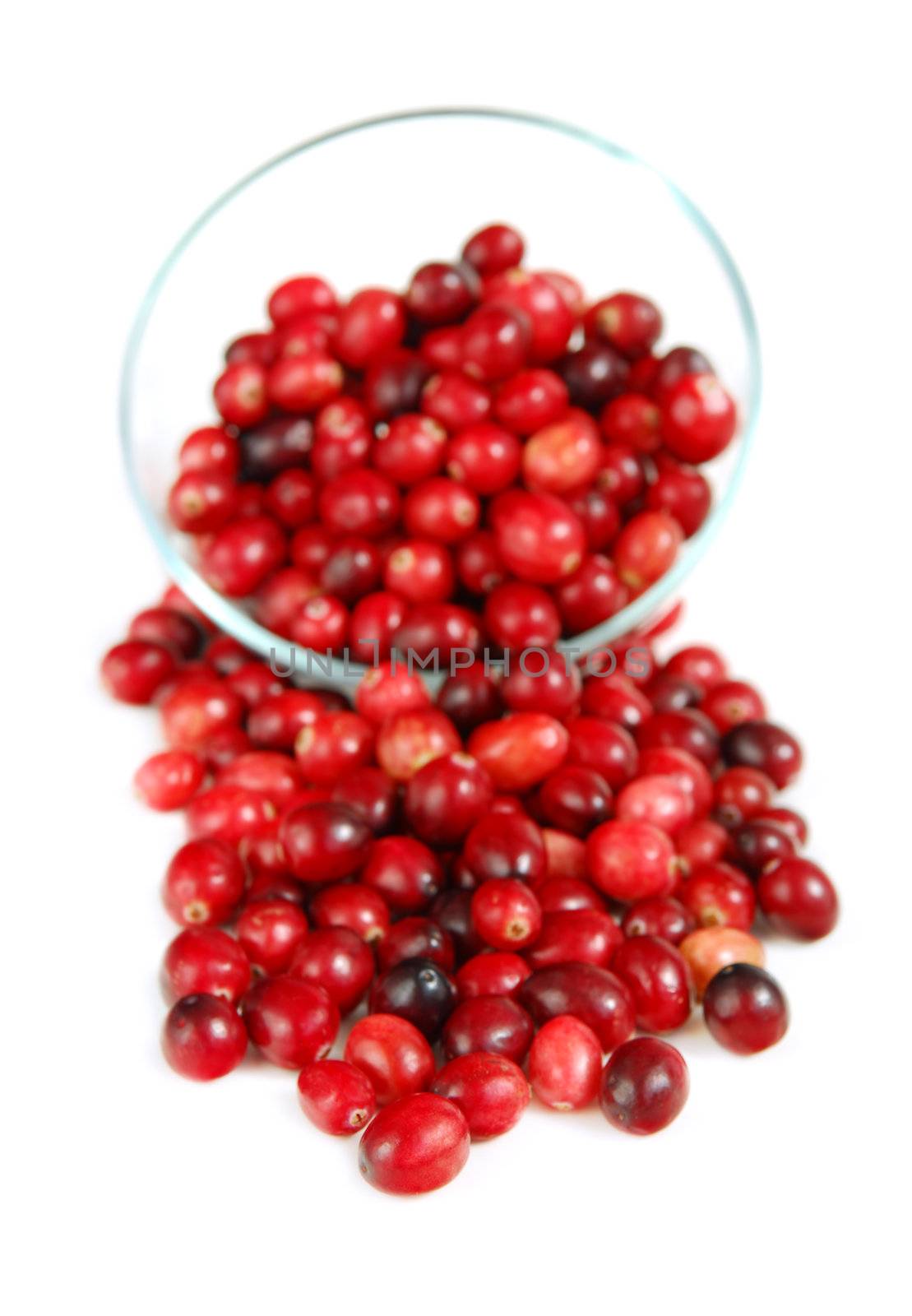 Fresh red cranberries in a glass bowl on white background