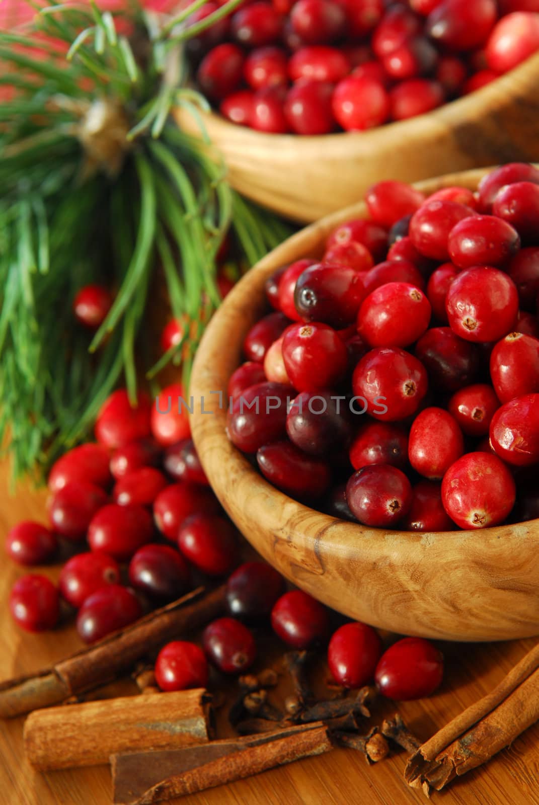 Fresh red cranberries in wooden bowls with spices and pine branches