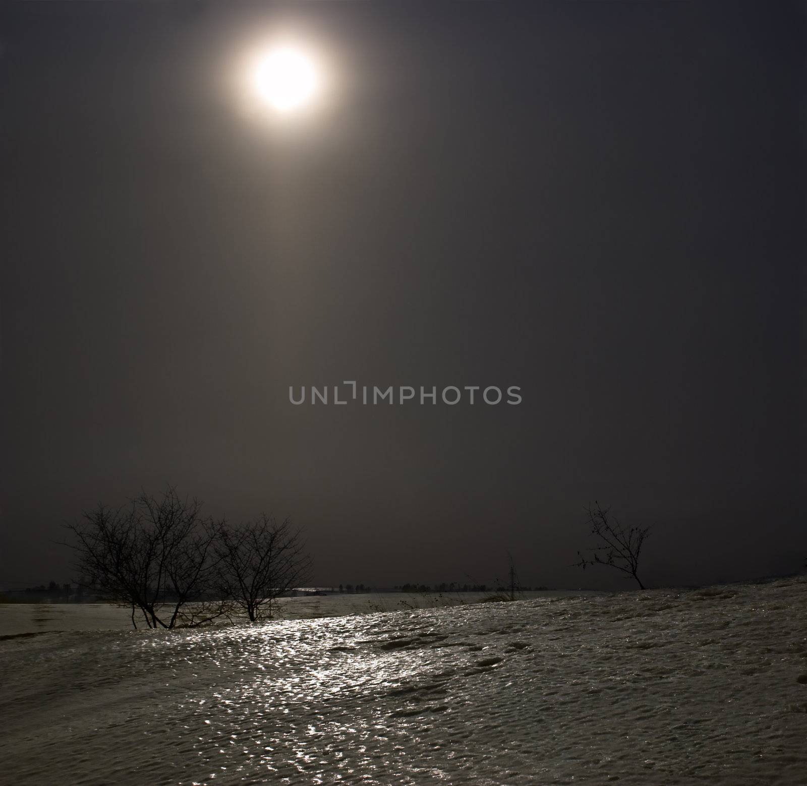 Night kind in a field with the moon