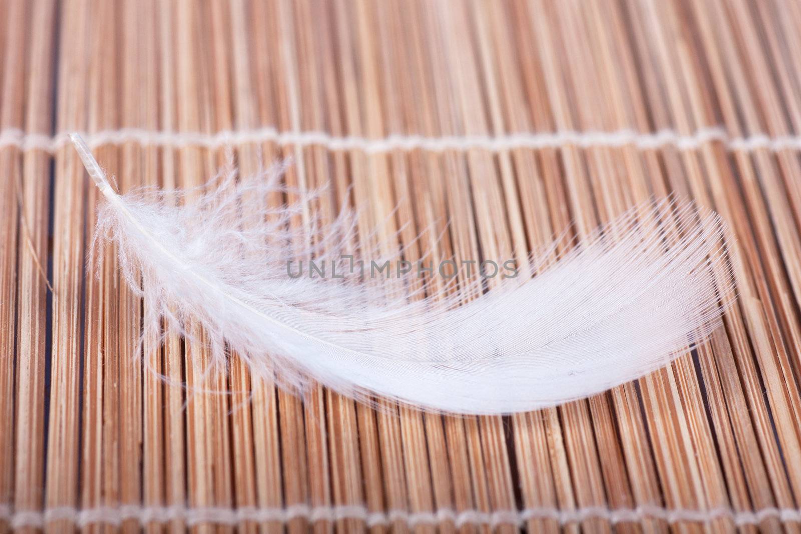 Closeup view of a feather on a straw