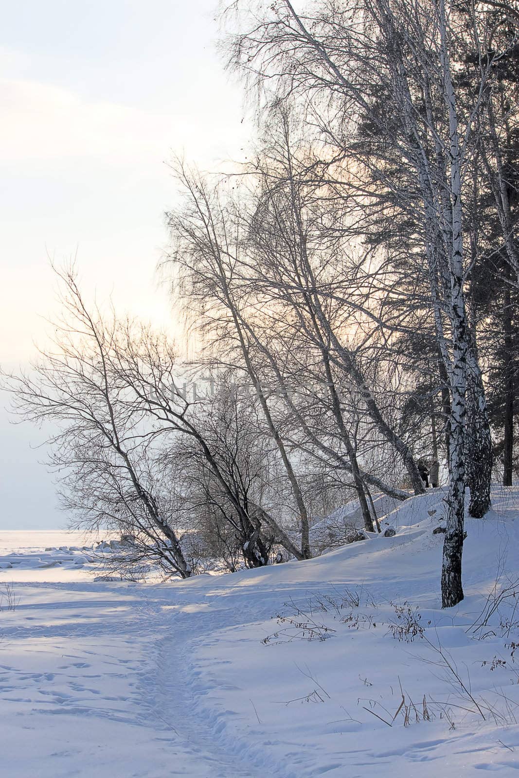 winter landscape by zhannaprokopeva