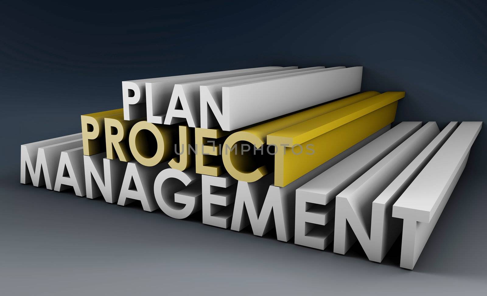 Project Planning and Management in 3D Format