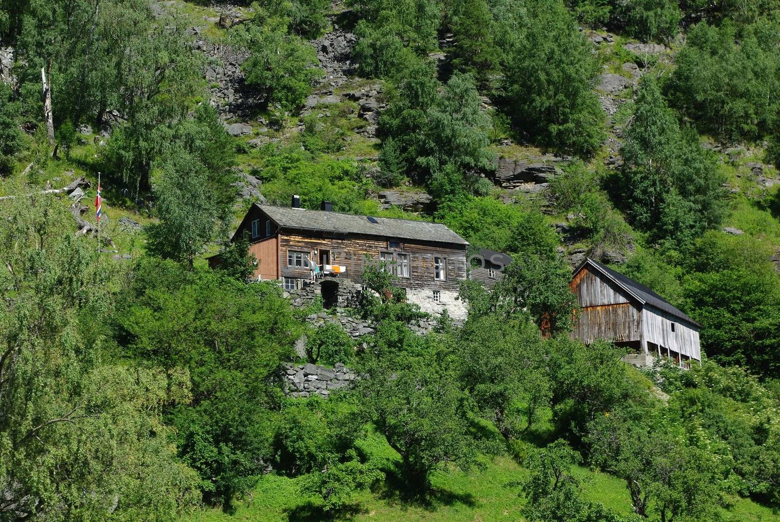 Traditional wooden houses on hillside near Geiranger, Norway