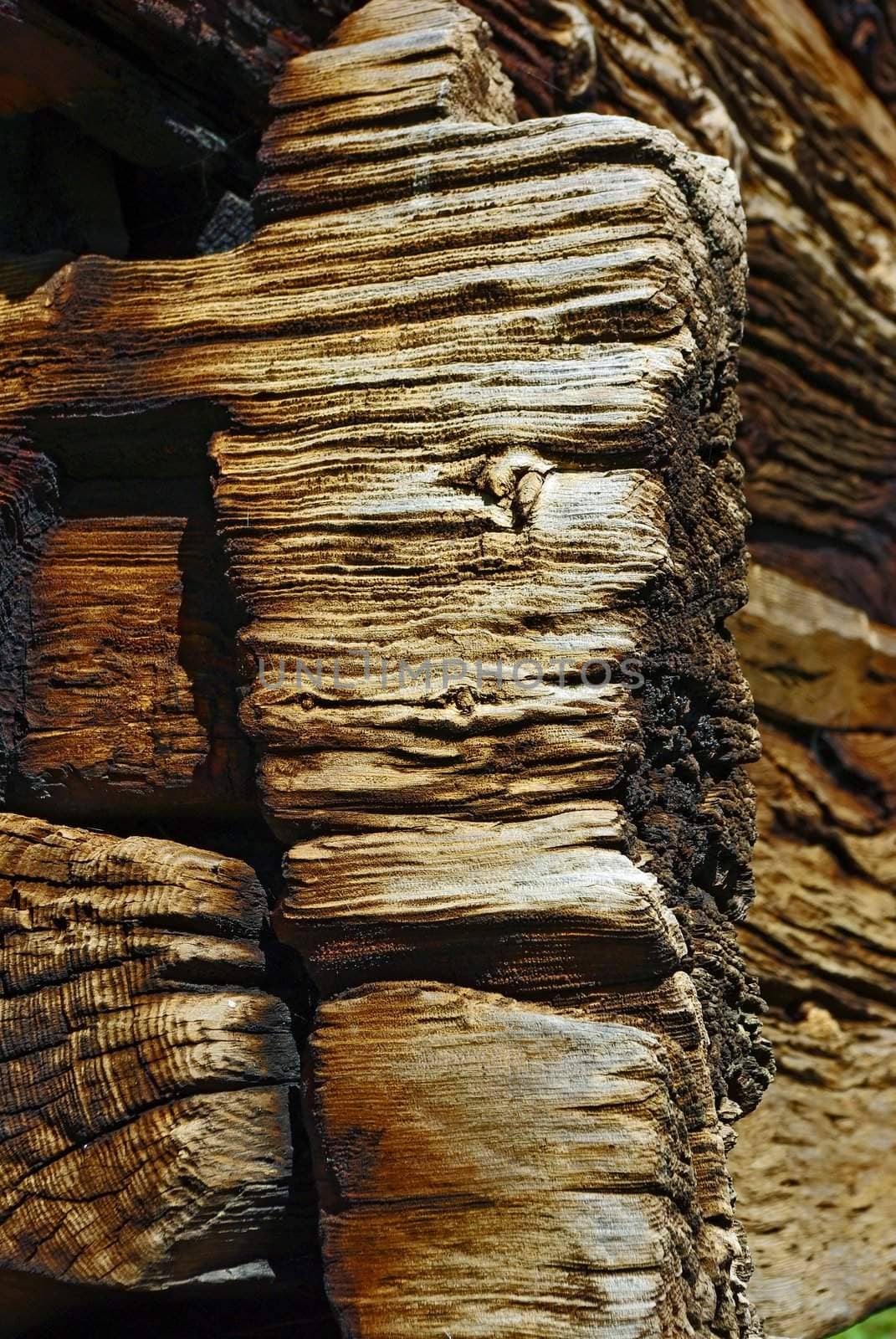 Close-up image of corner of ancient wooden house