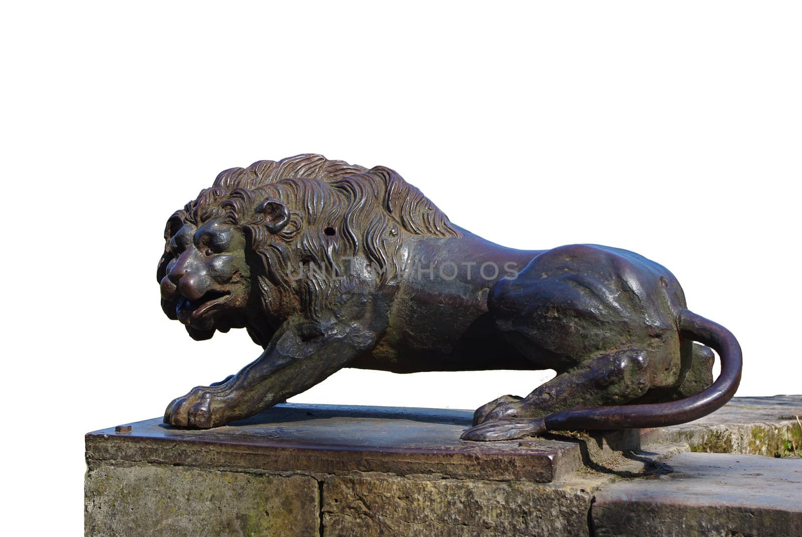 Bronze lion sculpture isolated on white