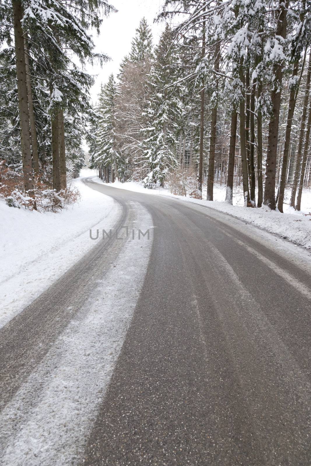 snowy road by magann