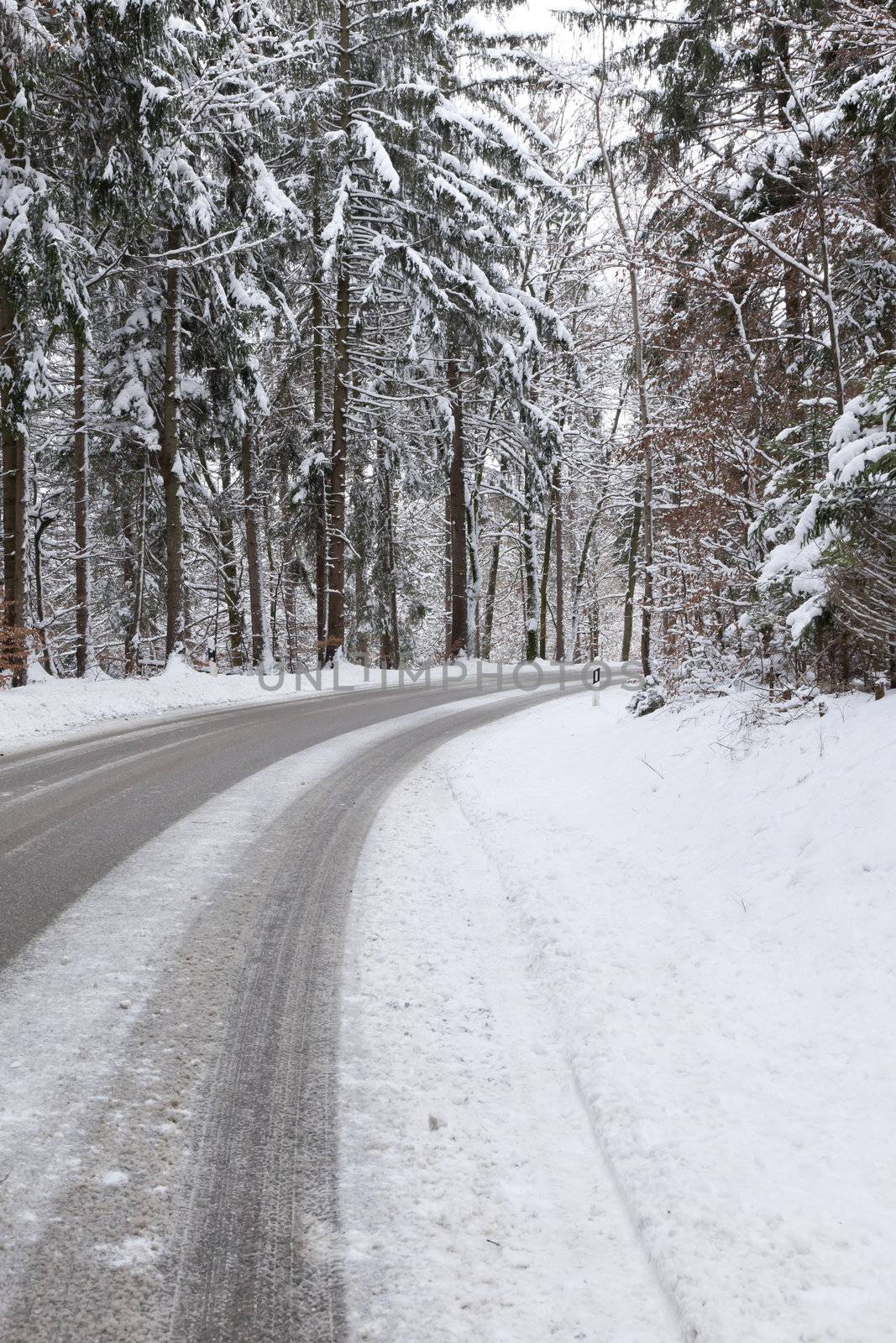 snowy road by magann