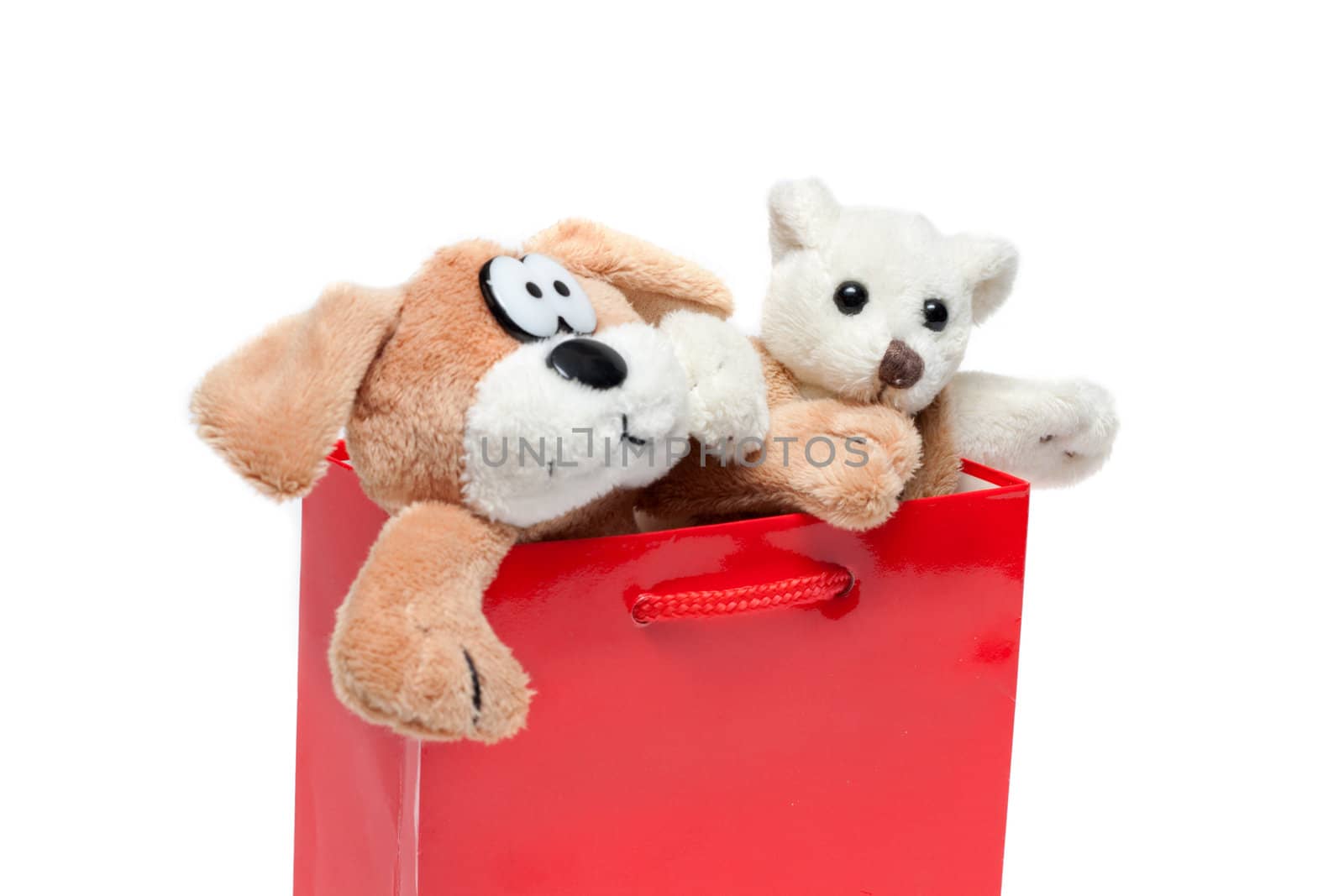 Toy of the dog in red, subarched, paper package