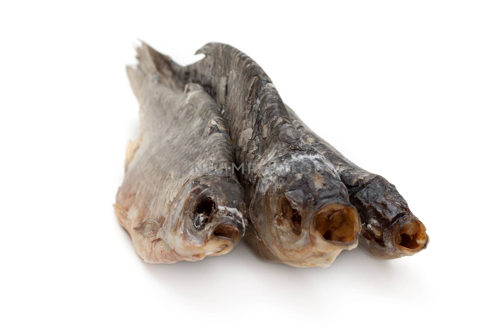 Dried fish, roech insulated on white background