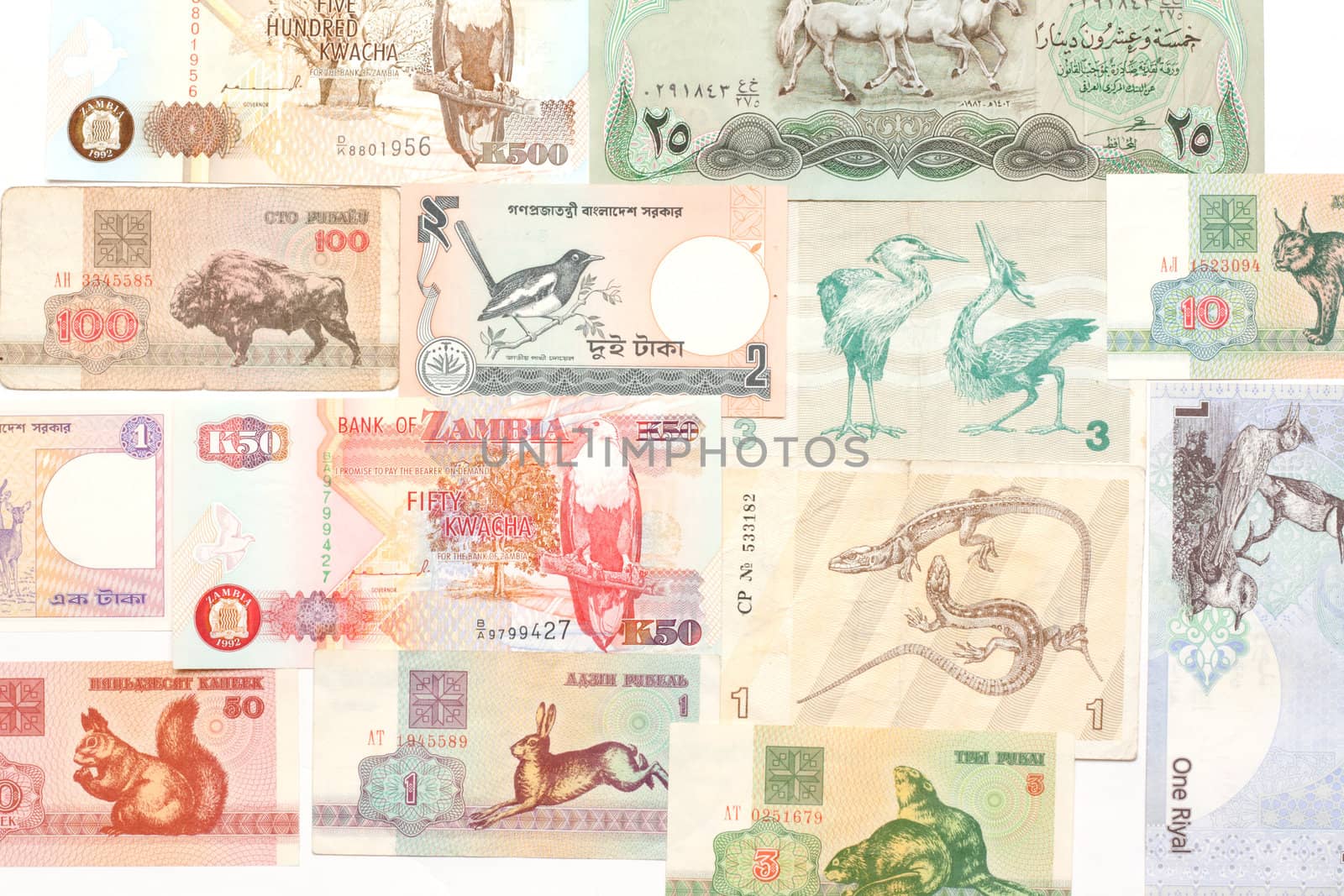 Background from bills of the money of the african countries