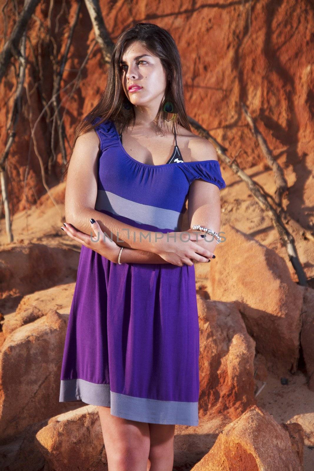 View of a beautiful young girl with a purple dress standing on a red cliff on the beach.