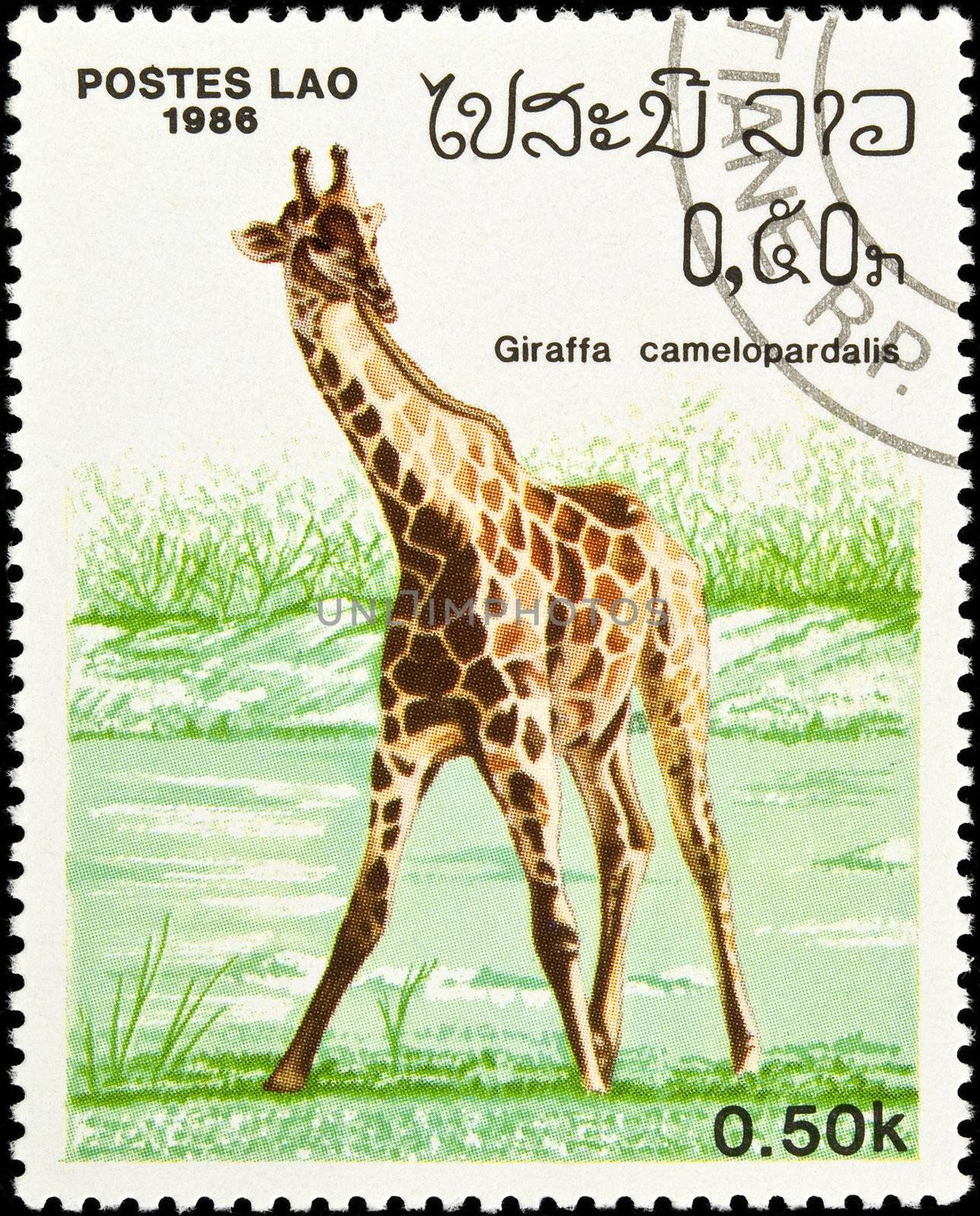 LAOS - circa 1986:stamp features a giraffe (Giraffa Camelopardalis), circa 1986 in the Lao People's Democratic Republic.