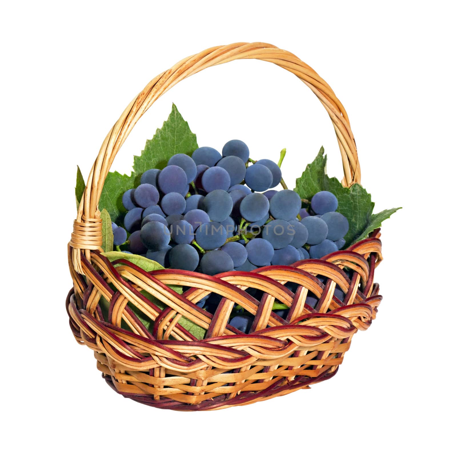 wicker basket with brushes of dark grapes isolated on white background