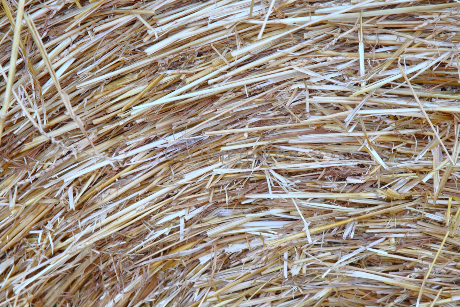 hay bale macro