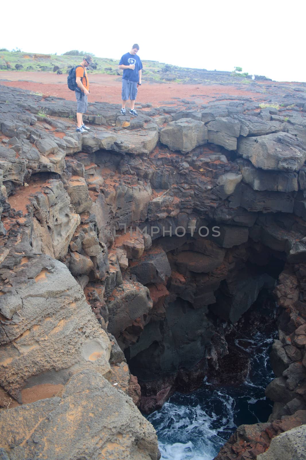 natural occurring cavernous  cenote that is oceanside in Hawaii Big Island by njene