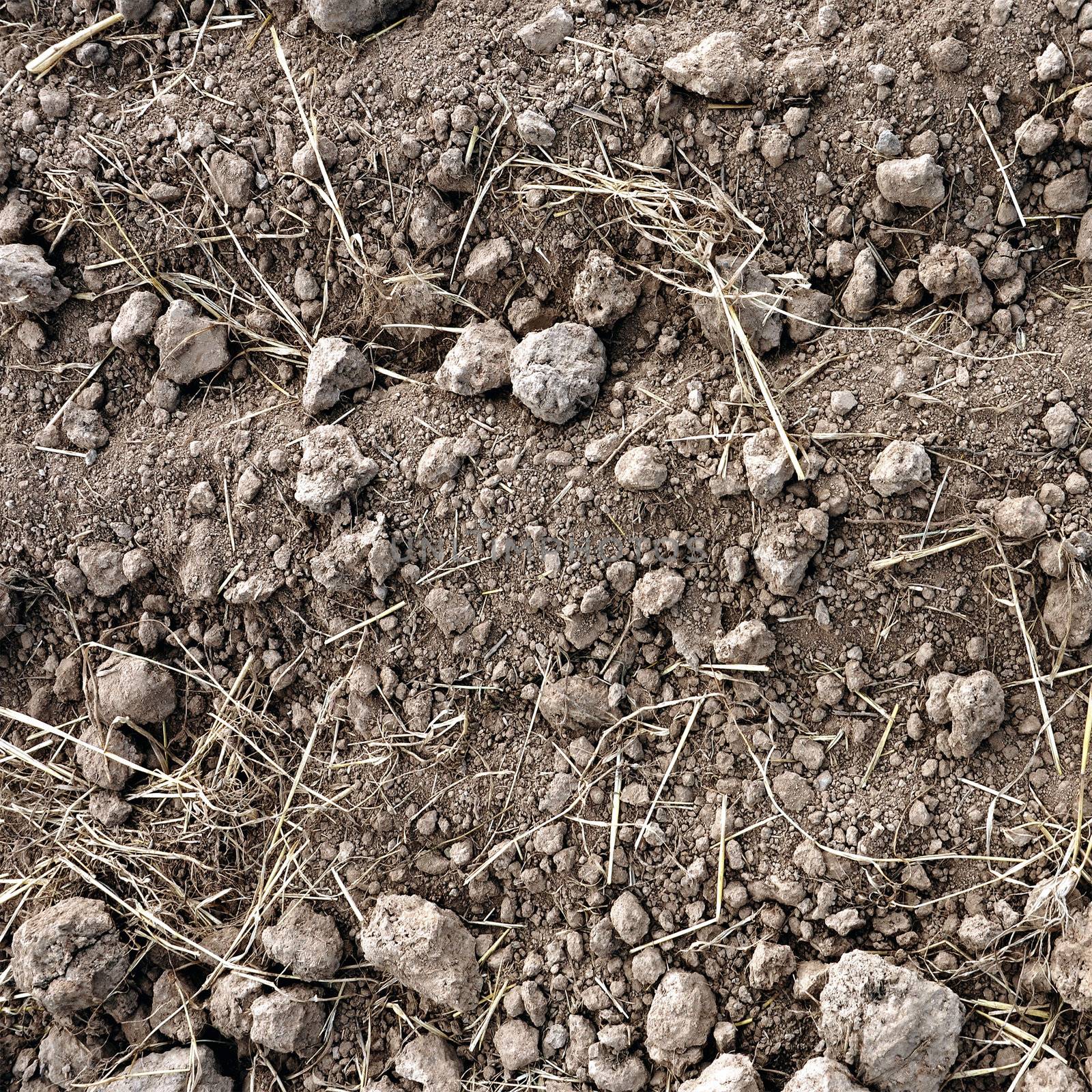 Brown soil of an agricultural field