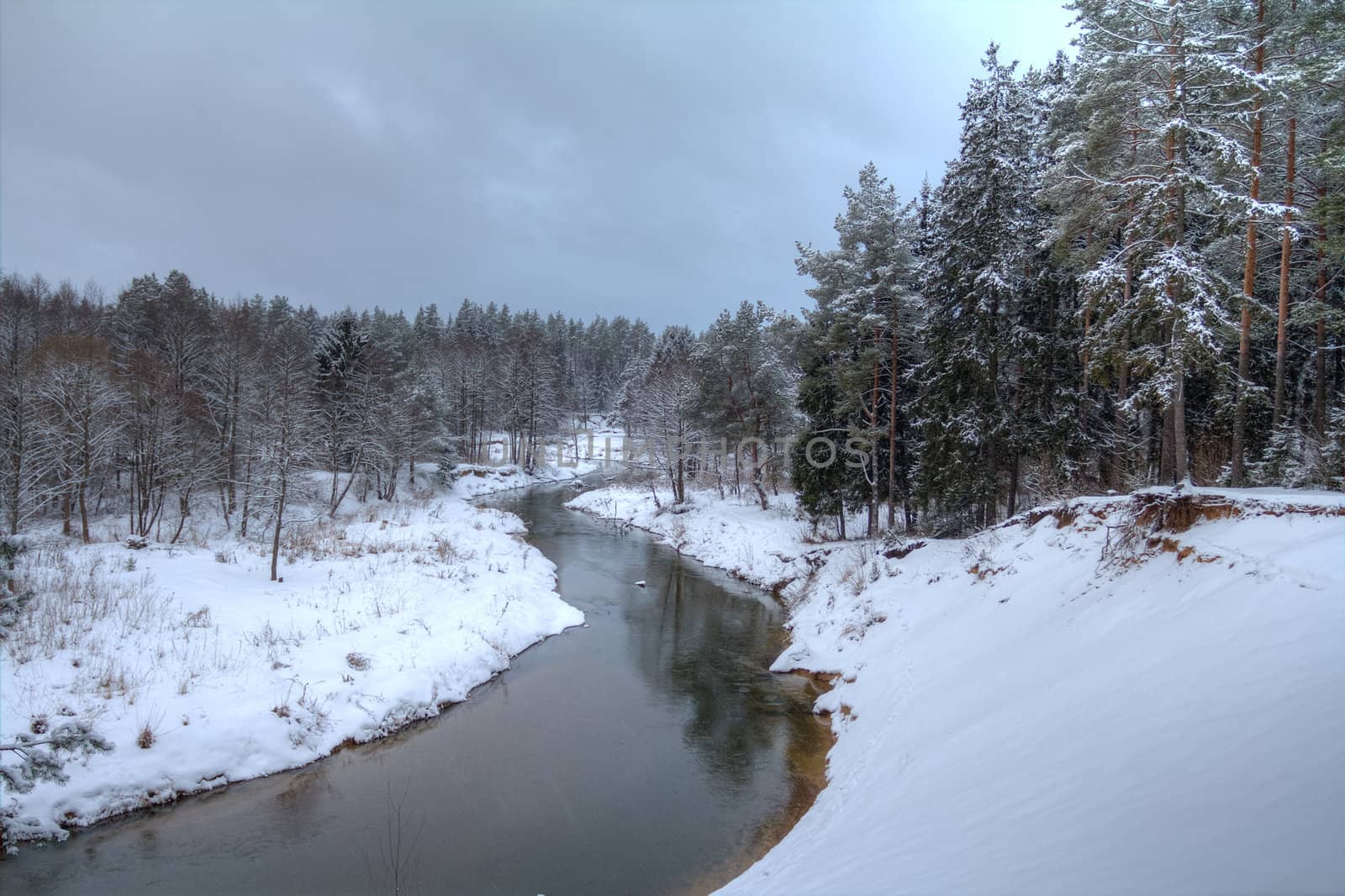 river flowing through forest in winter